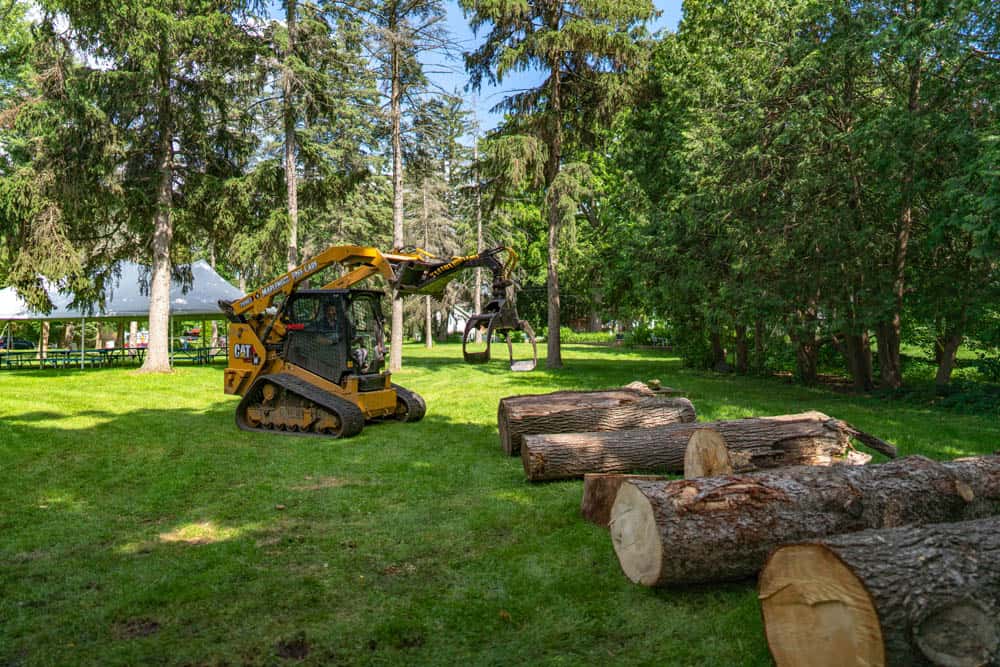 Harry Whitehorse Wood Sculpture Fest 01